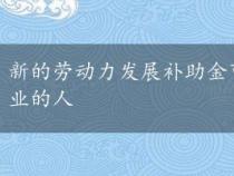 新的劳动力发展补助金可以帮助一些已经完成大学学业的人