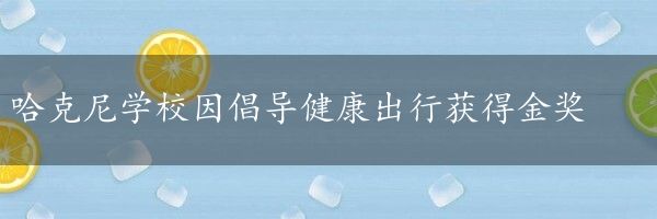 哈克尼学校因倡导健康出行获得金奖