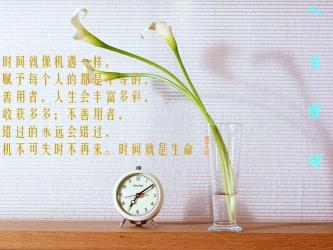 机不可失的下一句：时不再来，抓住机遇的警告与鼓励