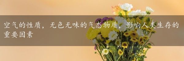 空气的性质，无色无味的气态物质，影响人类生存的重要因素