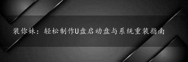 装你妹：轻松制作U盘启动盘与系统重装指南