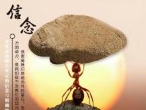 中考祝福语：用努力铸就梦想，用信念迎接挑战