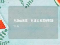 深度解析：“届时”的含义和正确用法