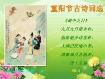 九九重阳节：古诗词中的佳节风情与文化内涵
