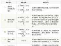 车险全览：了解所有必备与可选险种
