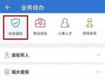 社会养老保险缴纳与购买指南：线上与线下缴纳方式详解