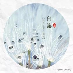 白露为霜所谓伊人在水一方：<诗经·蒹葭>中的爱情追求与艺术意境