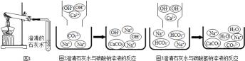 碳酸钠的化学式：理解其性质与应用的基础