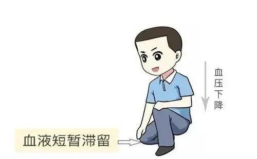 为什么蹲久了站起来会感觉两眼发黑？——原因与解决方法