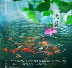 小暑和大暑：夏季炎热的两个重要节气