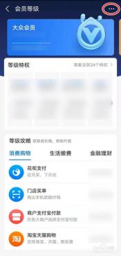 支付宝会员等级与特权大揭秘:从大众到钻石,每个等级都有哪些特权? 支付宝会员等级与特权大揭秘:从大众到钻石,每个等级都有哪些特权?