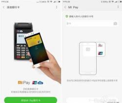 京东白条闪付卡号：虚拟信用卡的便捷与安全支付