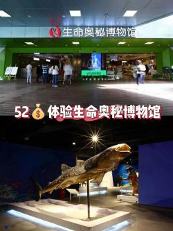神奇的克隆：当代科技的魔法，探索未知的生命奥秘