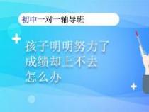 一对一补习费用：高投入背后的针对性与效率提升