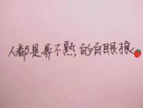 白眼狼是什么意思？深度解析这一忘恩负义行为的象征