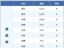邯郸市中考成绩查询网站：一键查询，轻松获取成绩