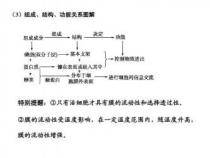 细胞膜的主要成分：磷脂、蛋白质和糖类的共同作用