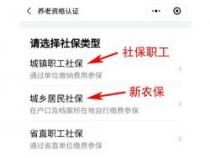 社保缴费查询明细查询：三种简单方法助您轻松查询