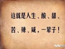 单相思的苦与甜：感悟人生情感的复杂与美好