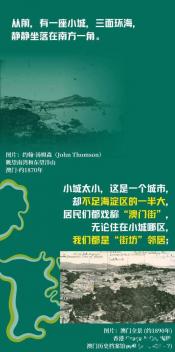 呼朋引伴的意思和造句：生活中的亲密与团结