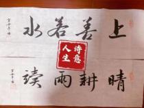 杨万里的诗意人生：精选古诗句赏析
