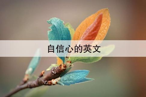 羞涩的反义词：自信与从容