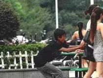 偷鸡摸狗：不正之风与盗窃行为的代名词