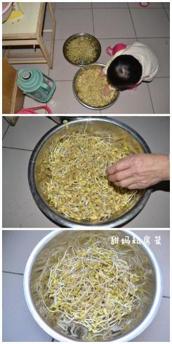 豆芽DIY：家庭环保种植方法