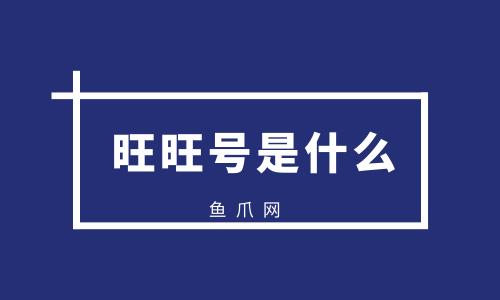 ID号是什么：身份标识的关键作用与多义含义