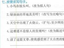 拟人句大全优美：大自然的诗与远方