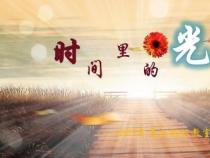 沧海一粟：生命中的微小与伟大