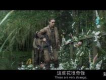 《湮灭》：绝境中的挣扎与成长