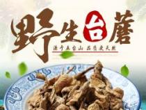 台蘑烹饪秘诀：清洗繁琐却鲜美无比的五台山野生蘑菇