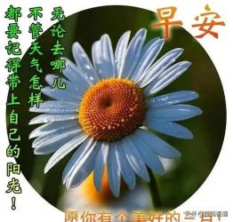 情人节问候语及关心话：用真挚的祝福点亮爱的心灯