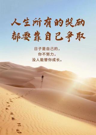 和时间赛跑：感悟成长的旅程与珍惜时间的真谛