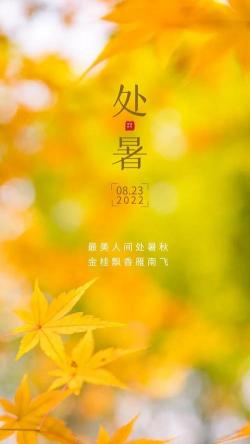 关于处暑的诗句：古人的秋日感慨与期盼