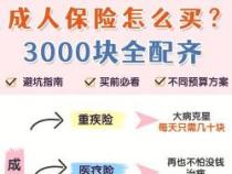 怎样买保险划算：从四大险种出发，为您量身定制经济实惠的保障计划