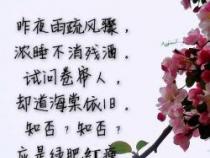 带有花字的古诗：诗人笔下的花之语