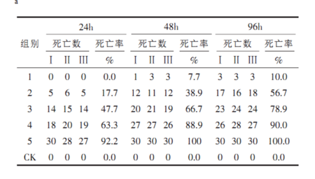 如何制作三线表：详细步骤指南