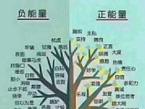 赞美老师的文章：奉献、付出与成长的力量