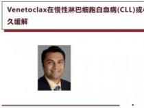 Salad是可数名词吗：深入探讨其计数方式