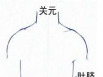 关元的准确位置图和作用：调理身体的宝藏穴位