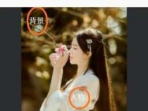 如何使用美图秀秀4.0.1版将照片底色改成白色：简单易懂的步骤指南