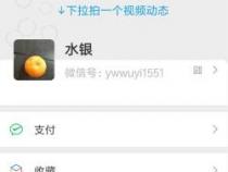 轻松设置网页背景图片：简单步骤让你的页面更美观