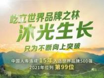 中国人寿怎么样？从品牌实力到产品特色一探究竟