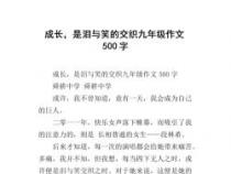 过节作文：庆祝与感悟的交织之旅