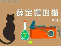 很抱歉，服务太火爆了，请您稍后再试