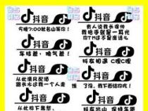 段友开车按喇叭暗号：抖友暗号引发争议，行车安全需重视