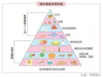 烦恼人生，健康为先：如何活出精彩人生