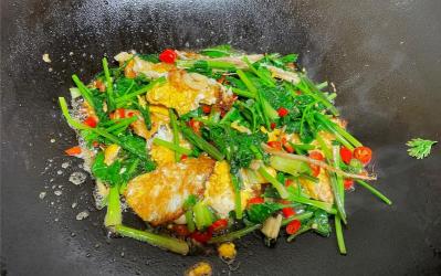 香菜炒蛋：家常美味，营养丰富